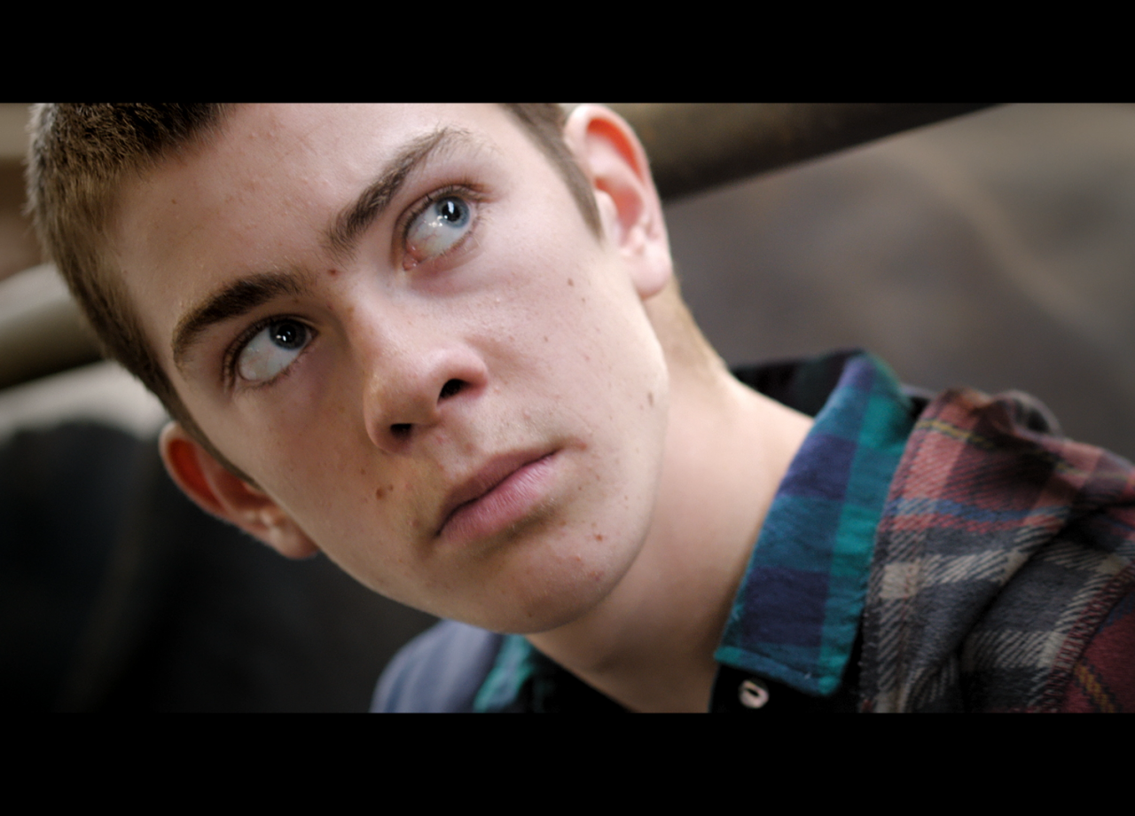 TranScreen presents: Dutch ShorTs